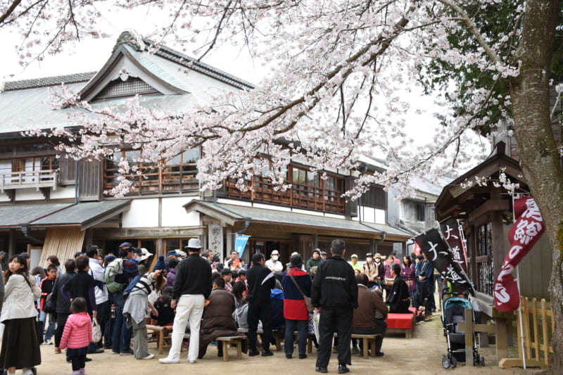 Doramu no Sato Sakura Festival